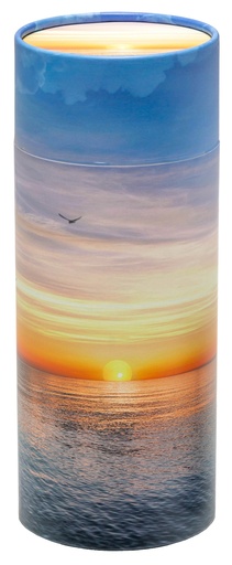 [301 OCN] Ocean Scattering Tube